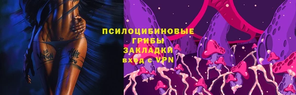 соль ск Бронницы